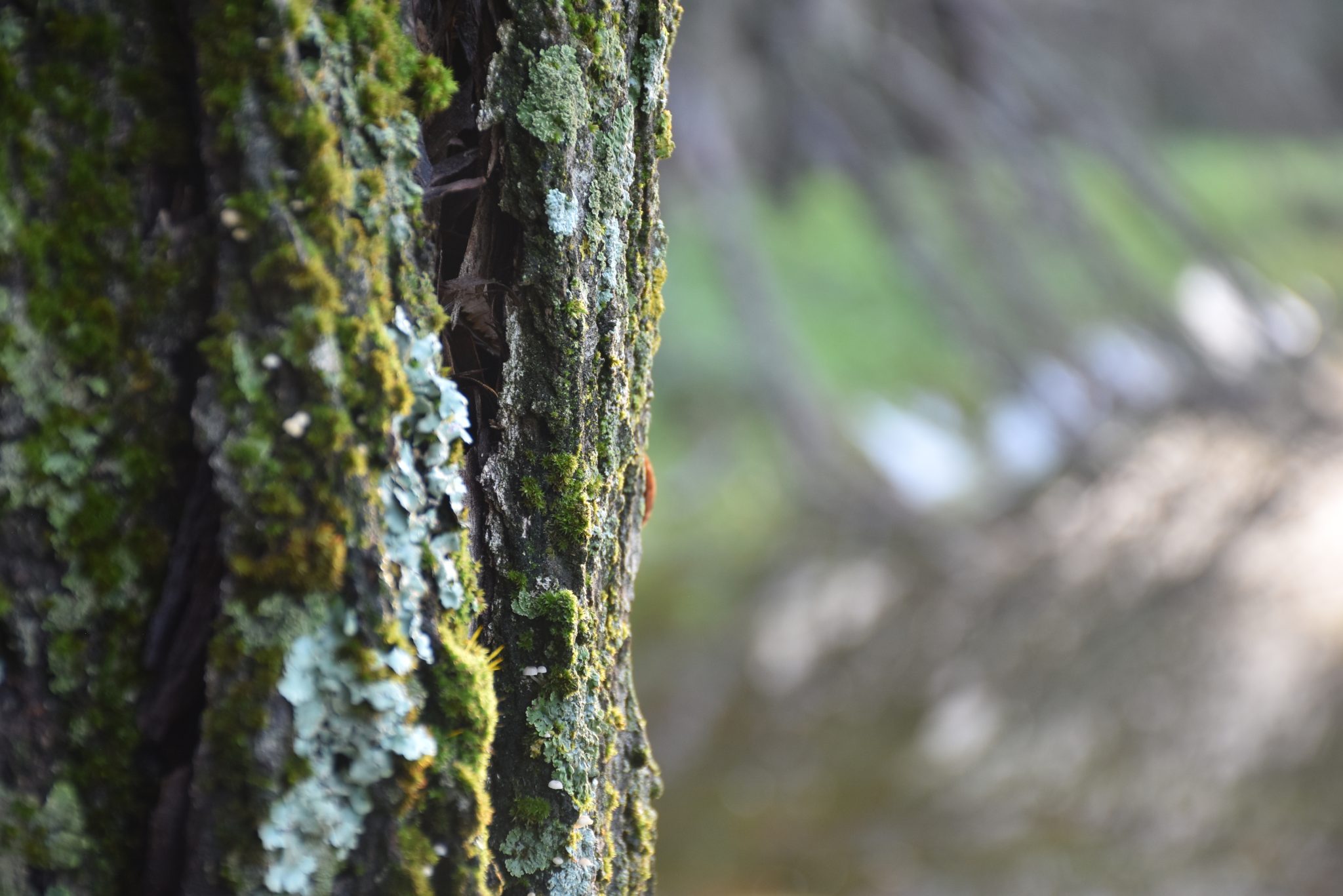 Ana Rita Ferreira- DA 2