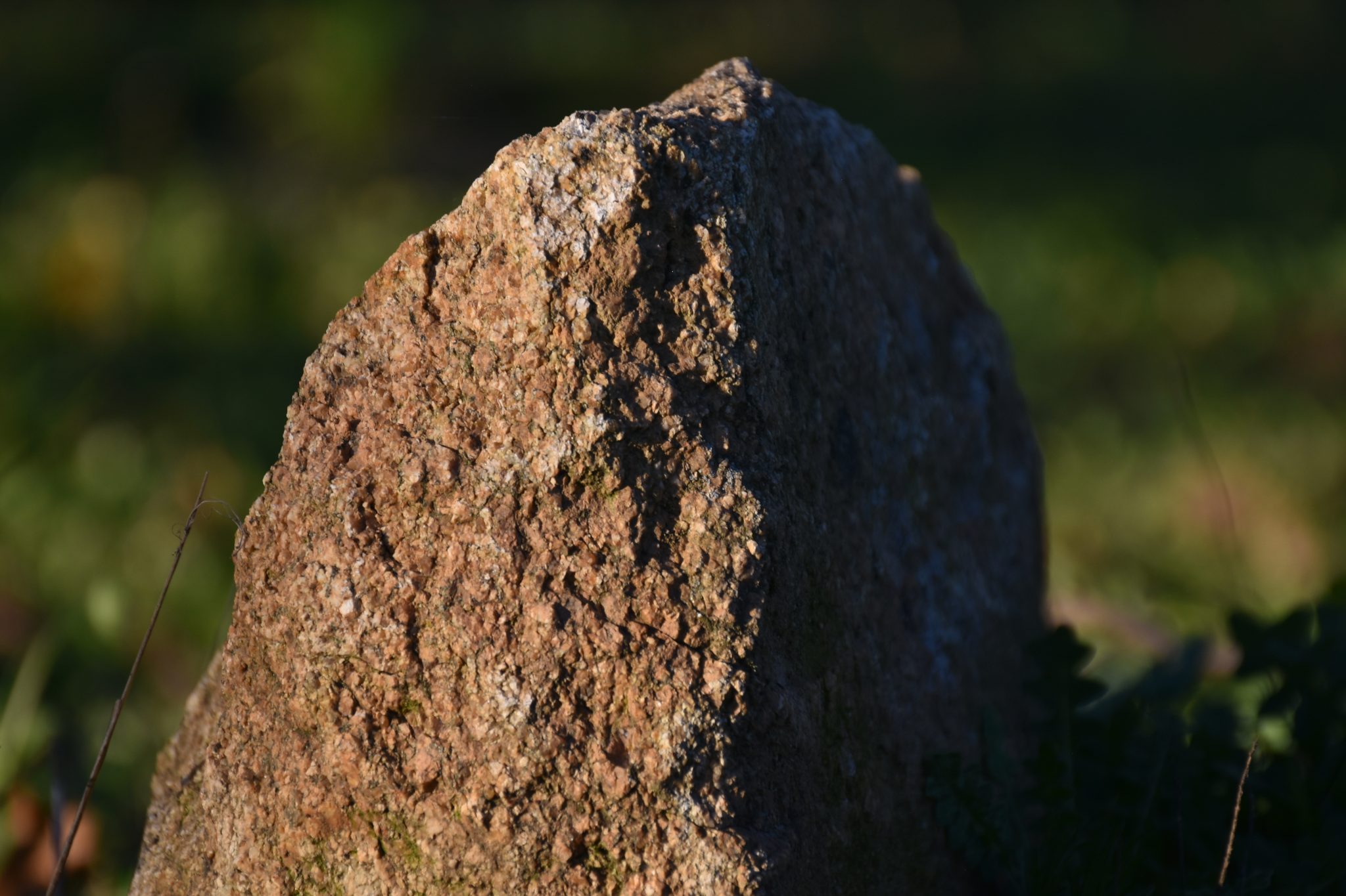 naturezaestg (Matilde Diogo)