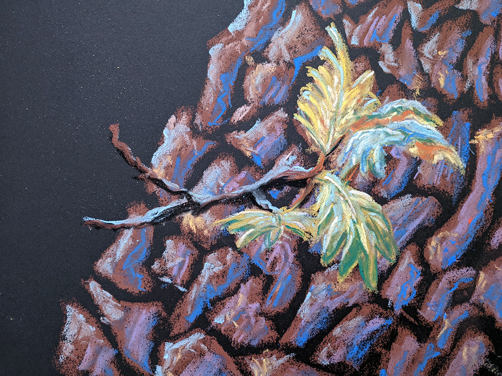 Sofia Ceia Carvalho Negral